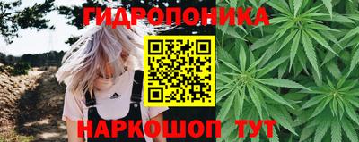 a pvp Пушкино