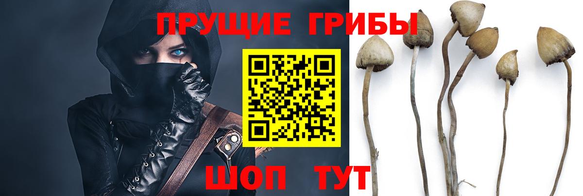 Анапа  Галлюциногенные грибы ЛСД  Вход с VPN  Галлюциногенные грибы Cubensis 
